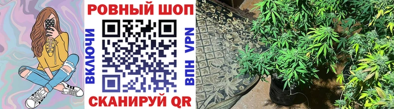 Купить закладку Cocaine  APVP  Марихуана  Галлюциногенные грибы  Меф  Амфетамин  Петухово