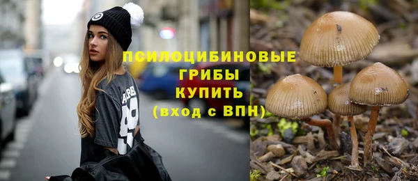 mdpv Краснотурьинск