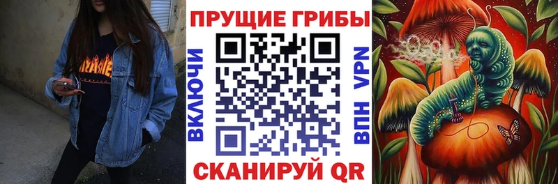 Купить где  Петухово  Псилоцибиновые грибы MAGIC MUSHROOMS 