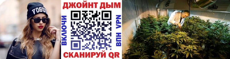 Купить где  Петухово  Марихуана сатива 